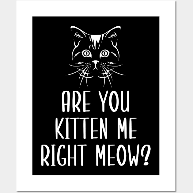 Are You Kitten Me Right Meow Wall Art by Health